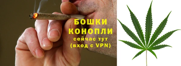 трава Яранск