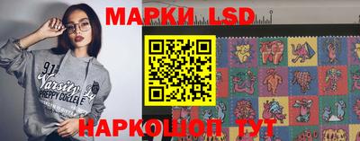 стаф Кинель