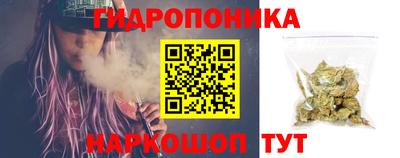 стаф Кинель
